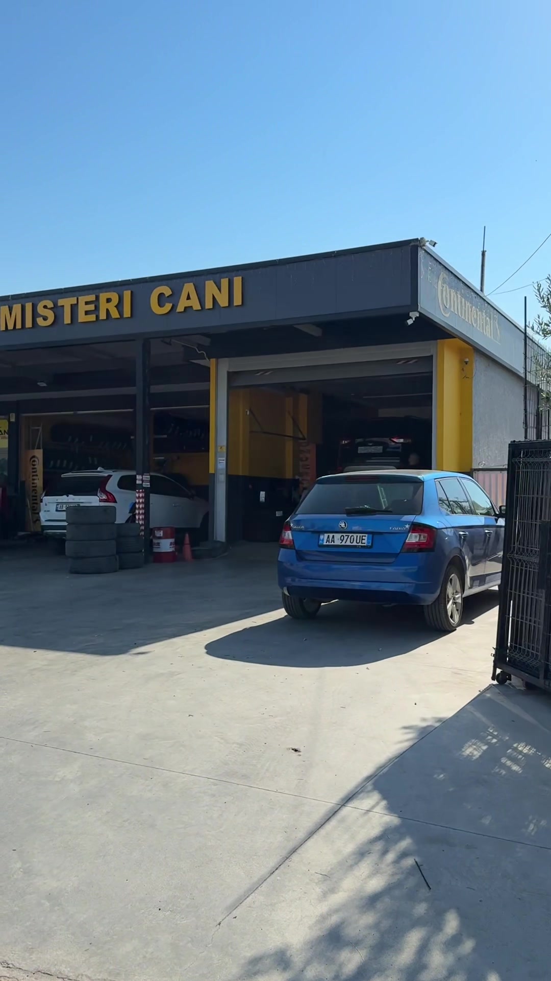 @Gomisteri cani