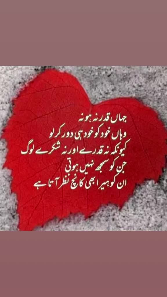 @ch imran shabbir official✅️