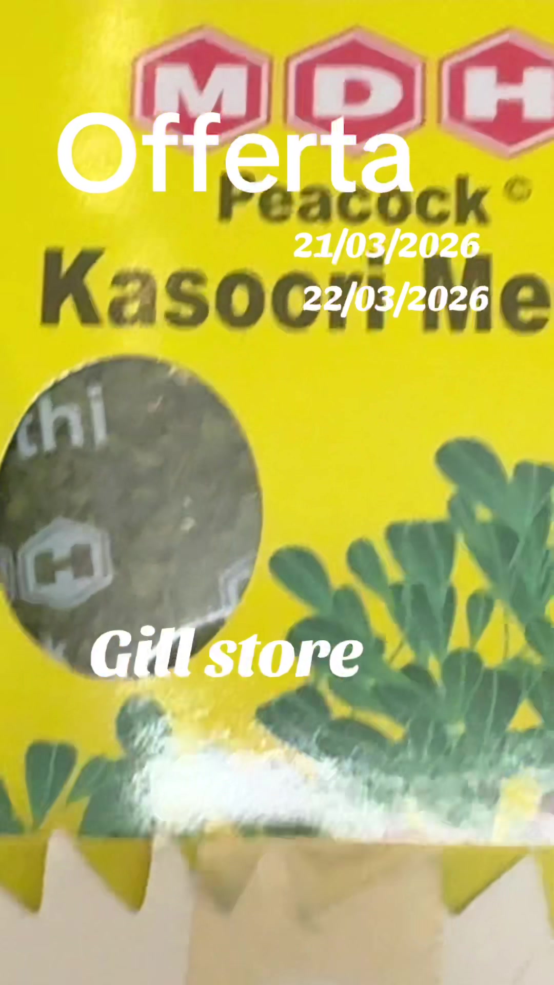 @Gill Store