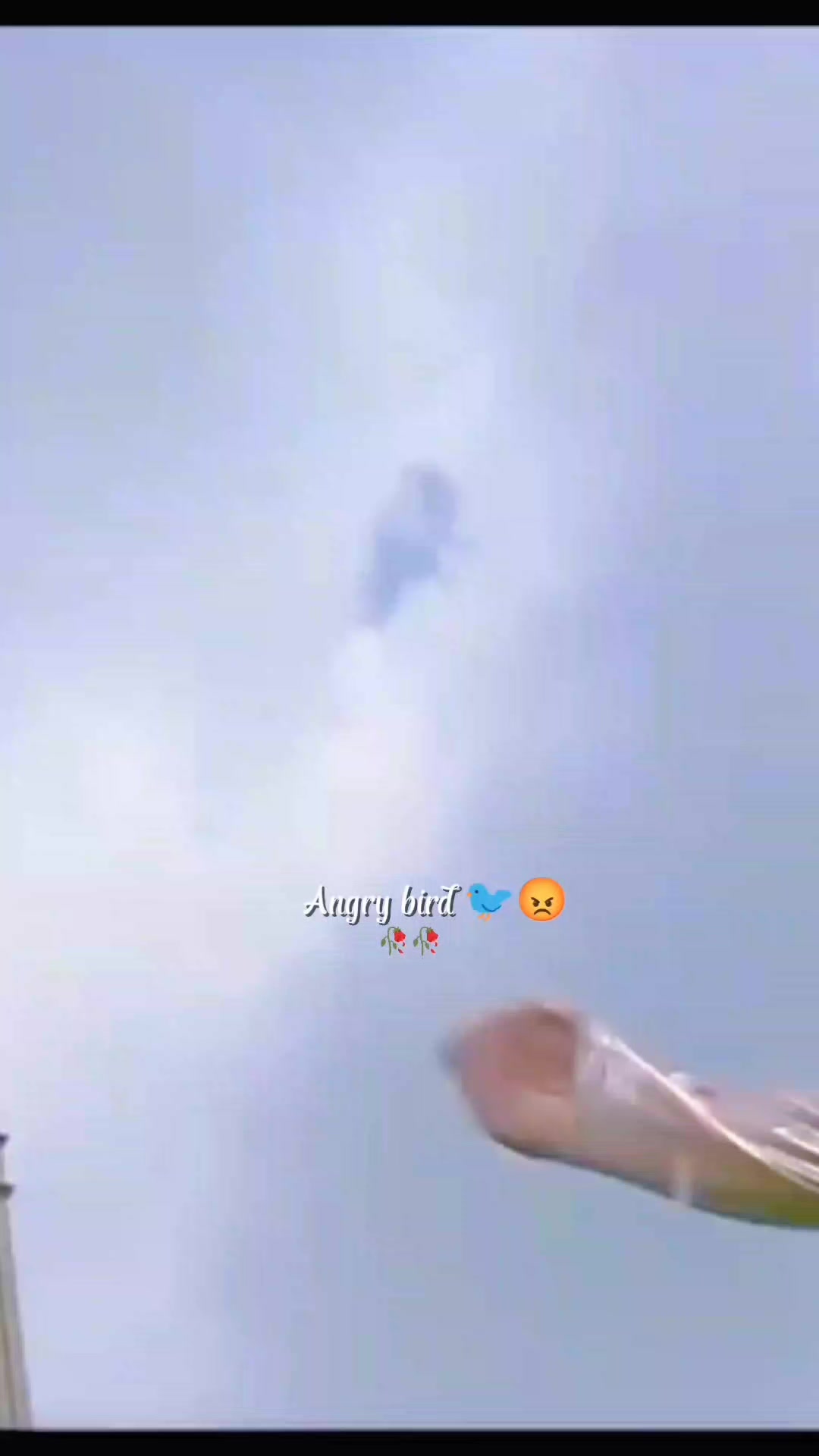 @💫𝖆𝖓𝖌𝖗𝖞 𝖇𝖎𝖗𝖉𝖘💫💥