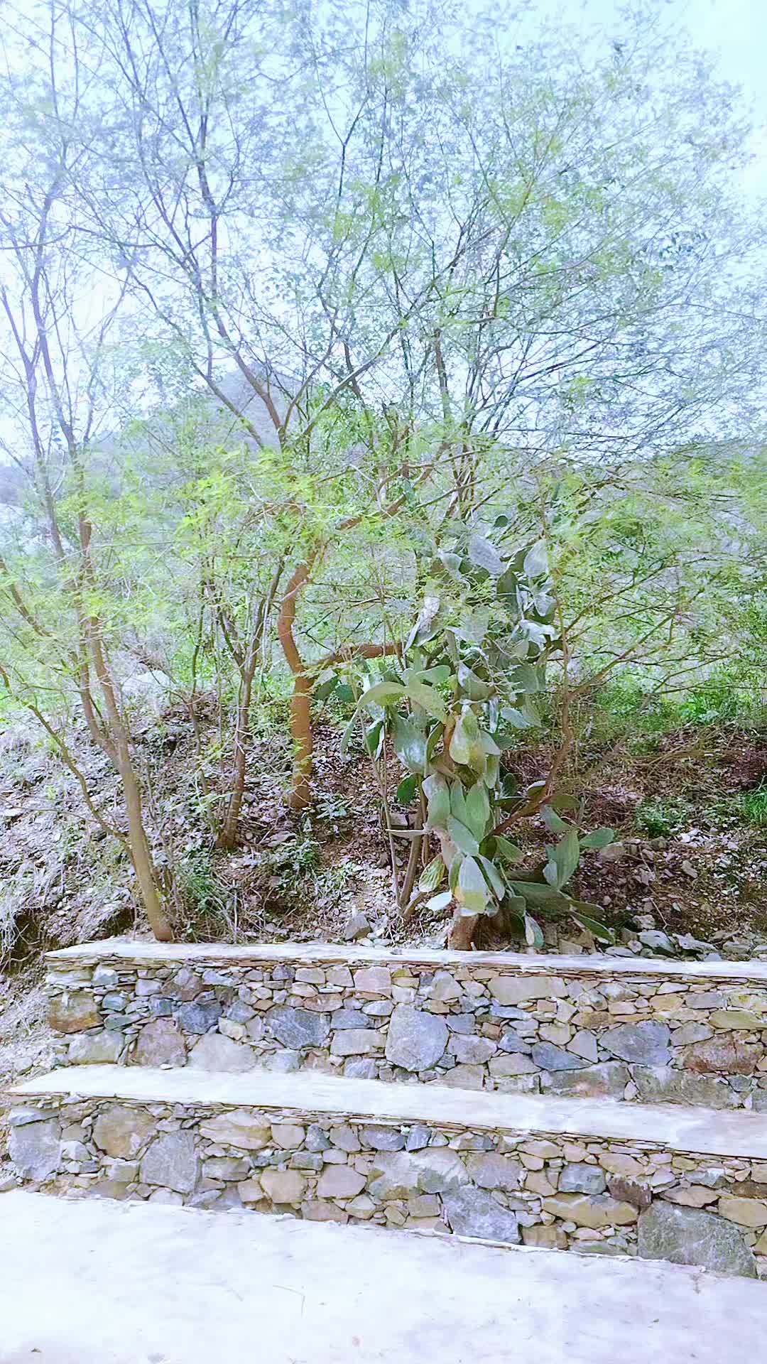 @/,ملک / «« / بادشاہ ،/