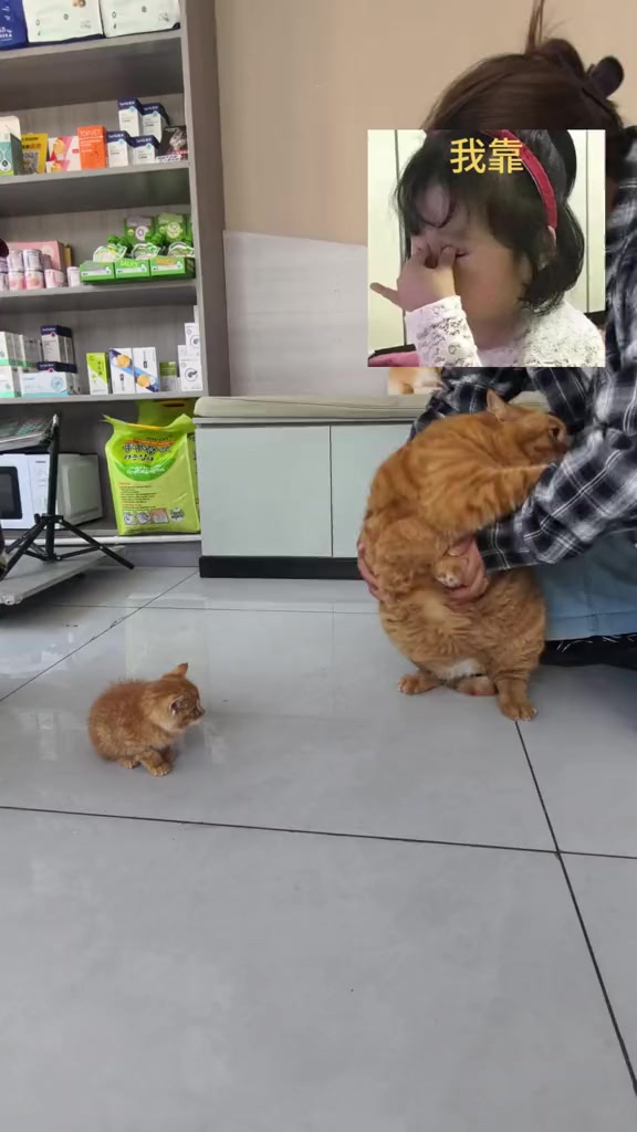 @Thanh Châm