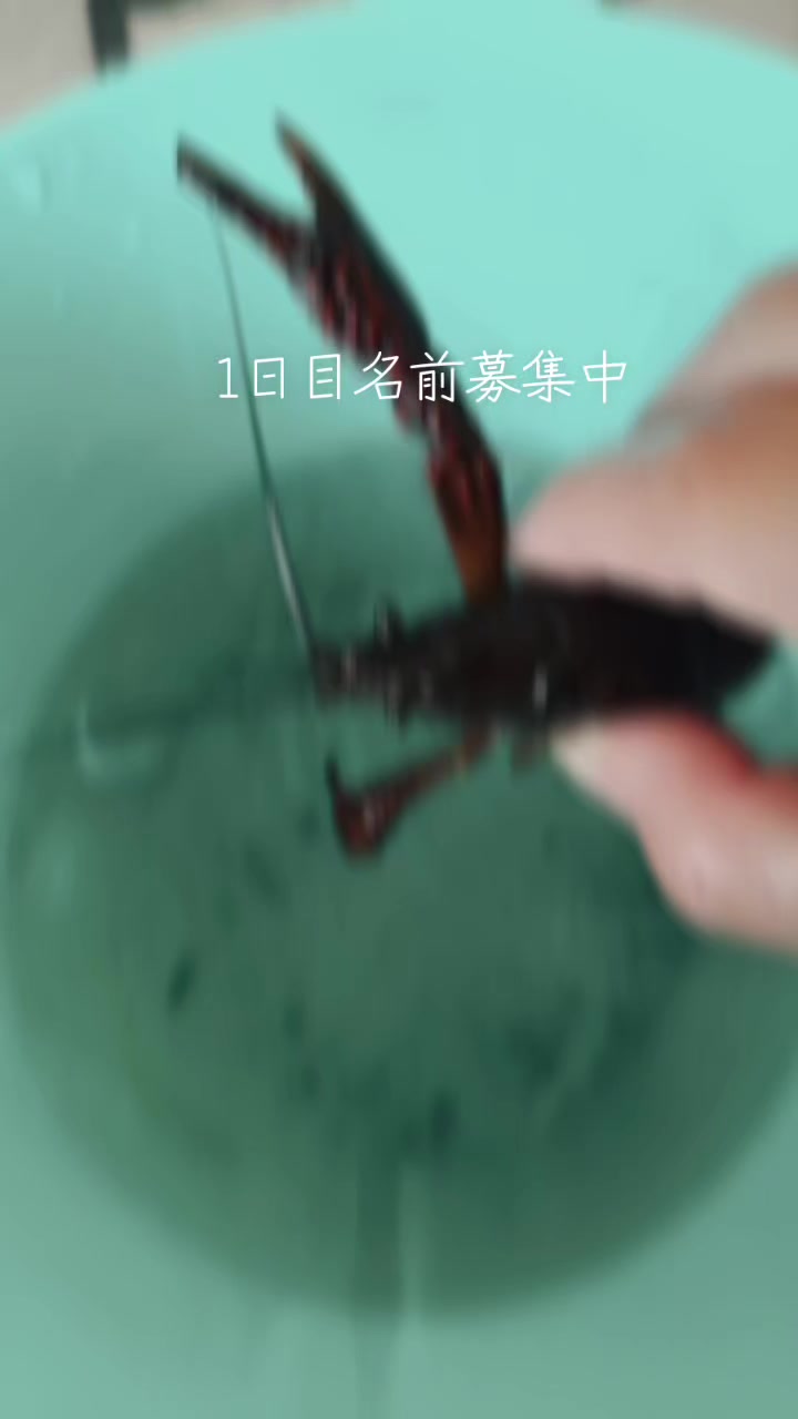 @Chikuwasshoi!(ちくわっしょい)United