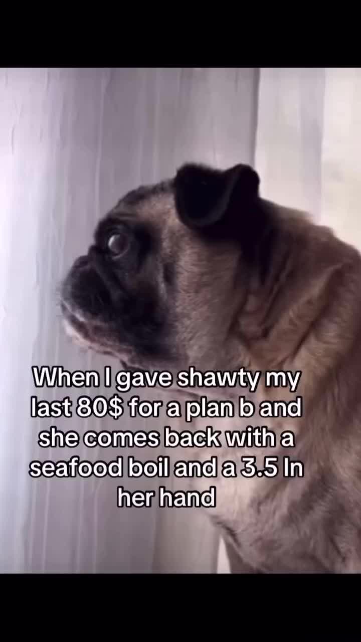 @3di9d2