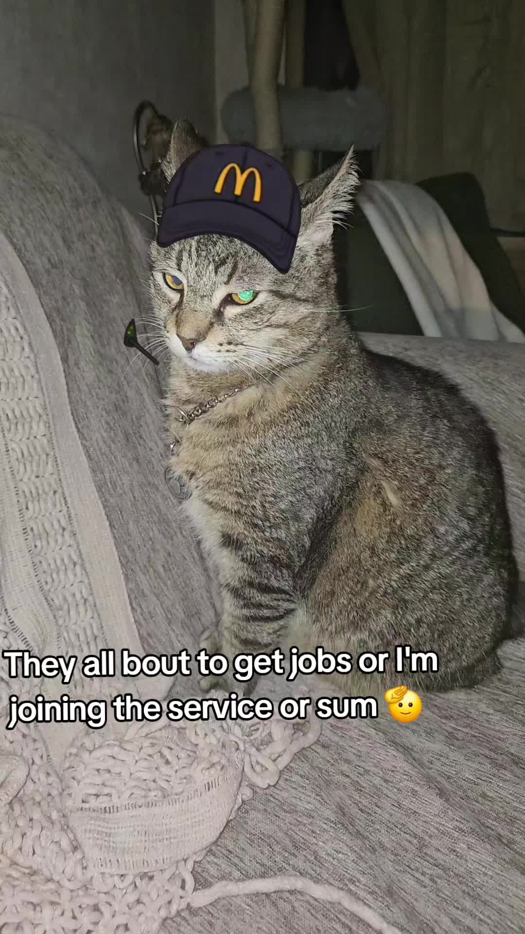 @Vader, Rocko, & Kona