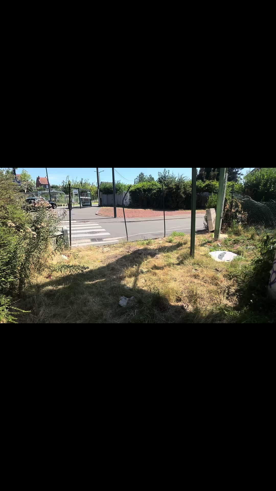 @linwissa🇳🇴