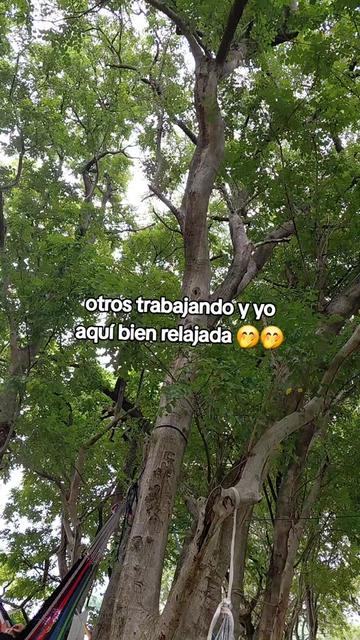 @😍todo 🤩aquí ✨️💖