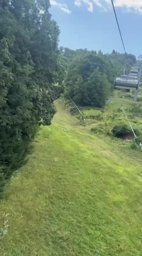 @Ayan Ali