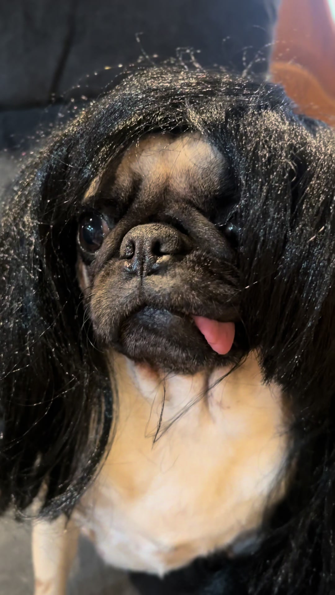@Pugaddict