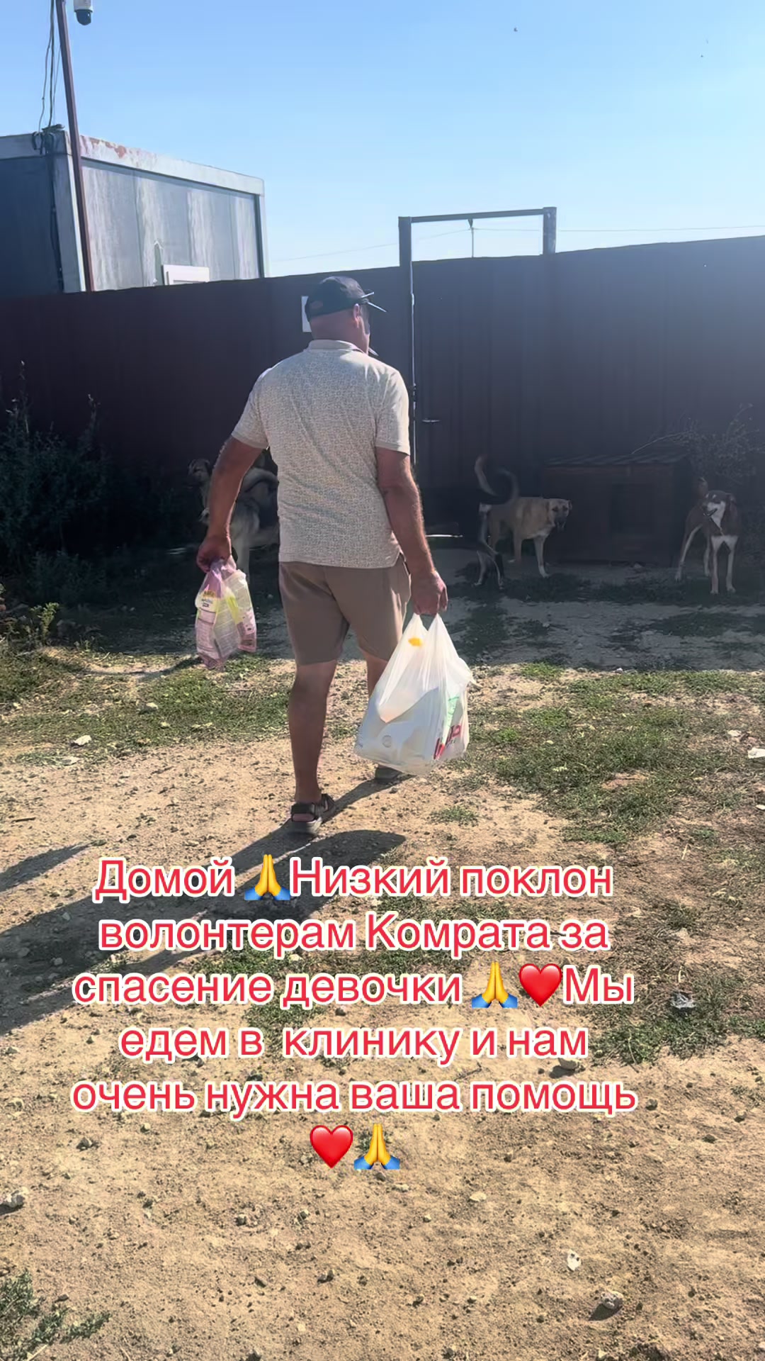 @Лёвка и компания.