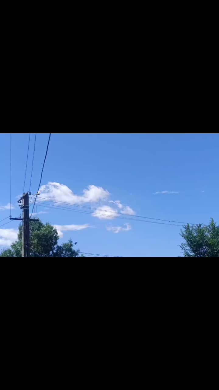 @(Frații Coman)