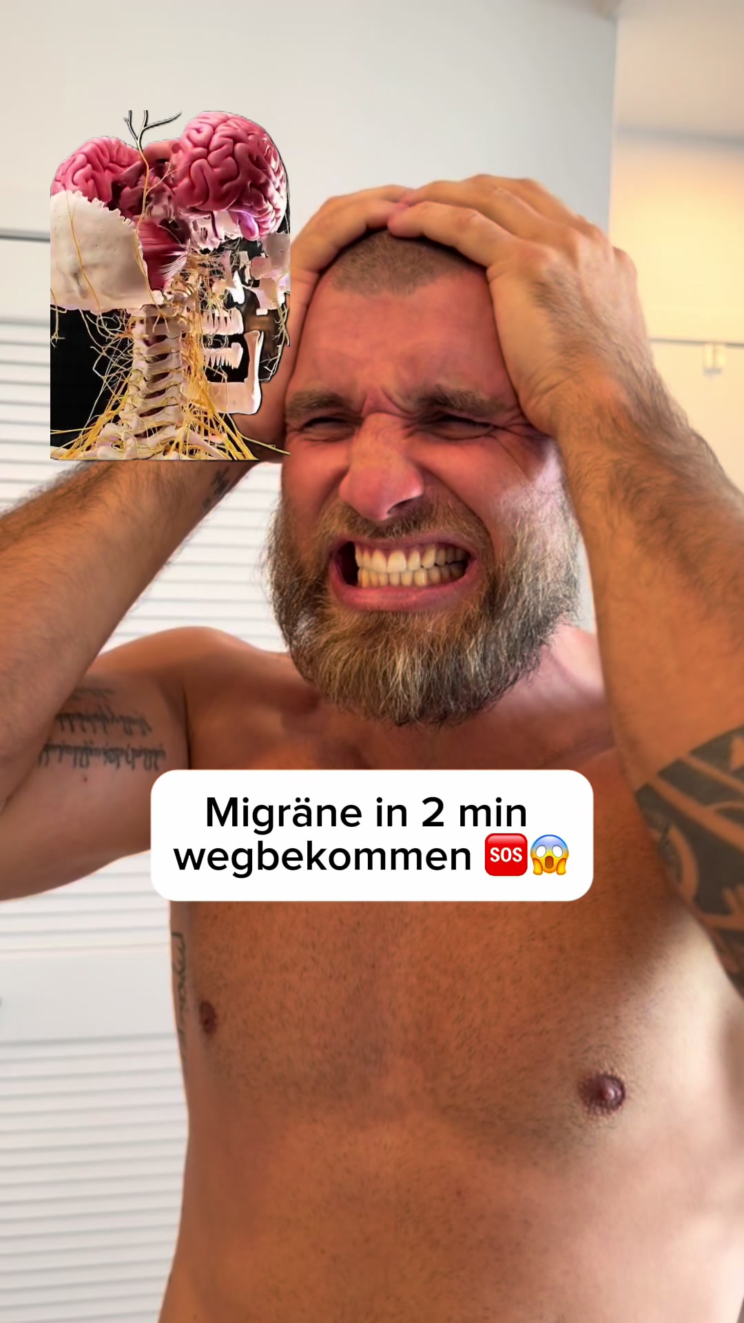 @Mr.High Level- Roll&rsquo;s weg