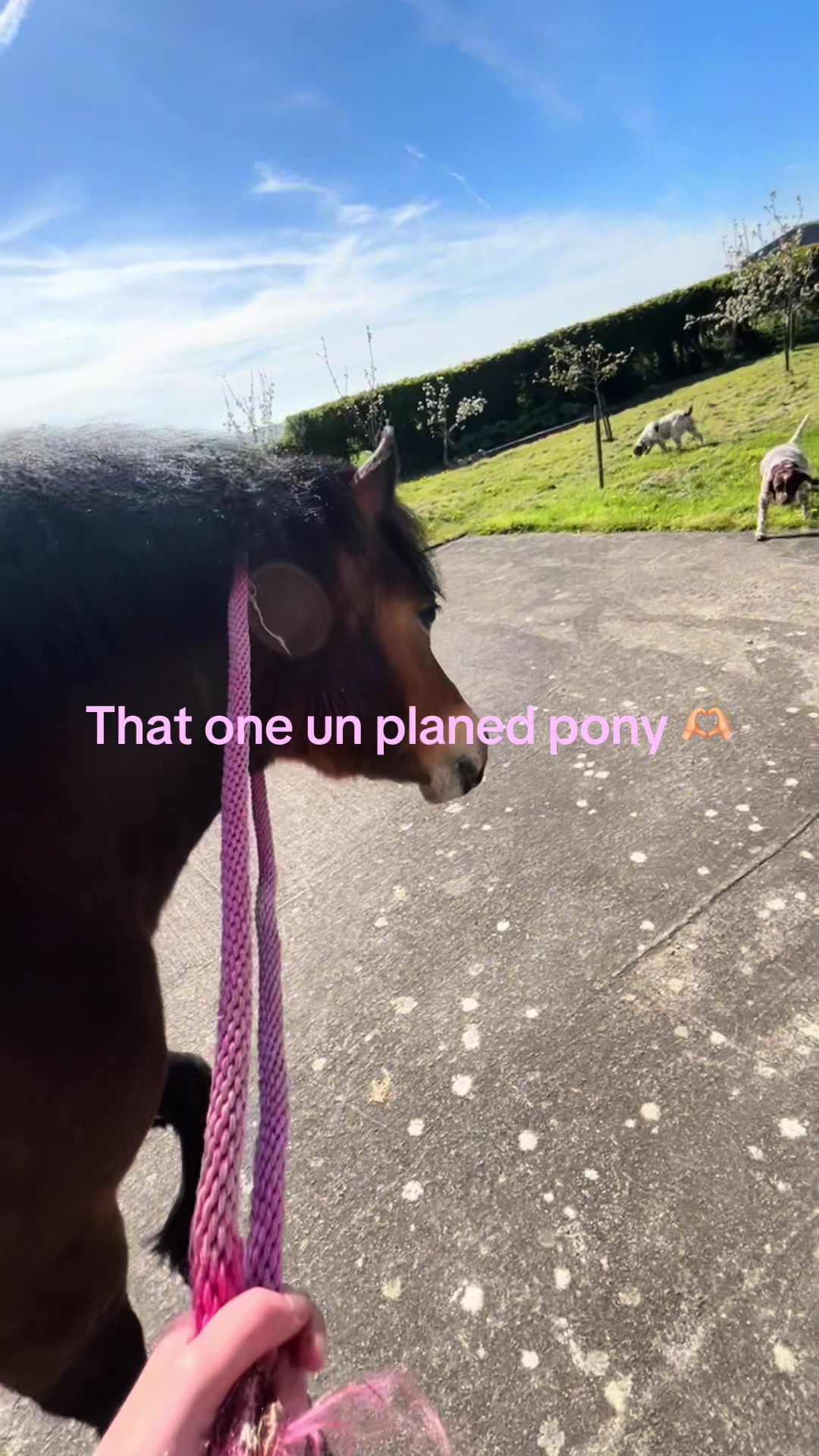 @aoibheann717