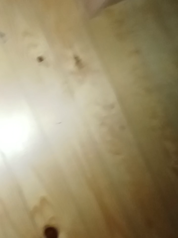 @LEMPEÄ JÄTTI