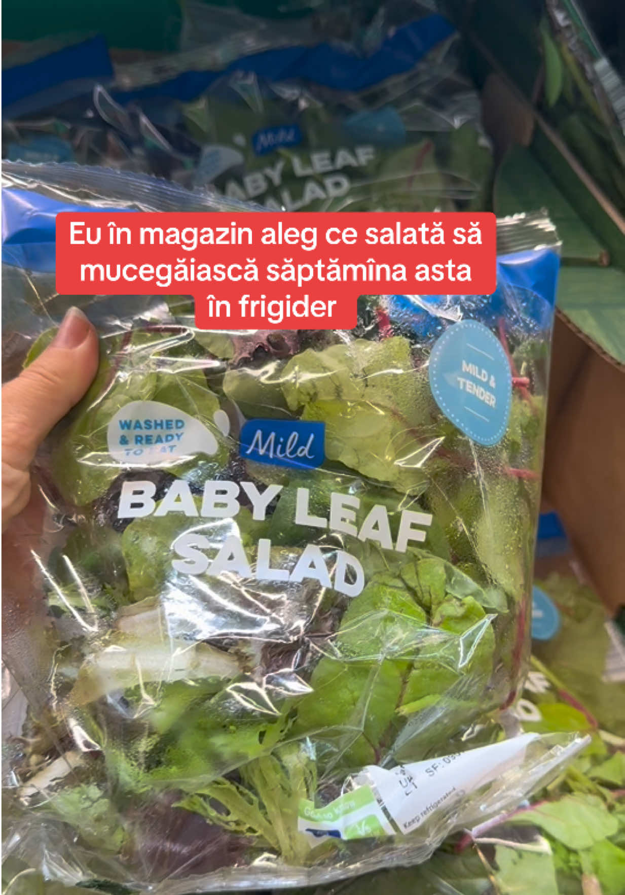 @Diana Batir