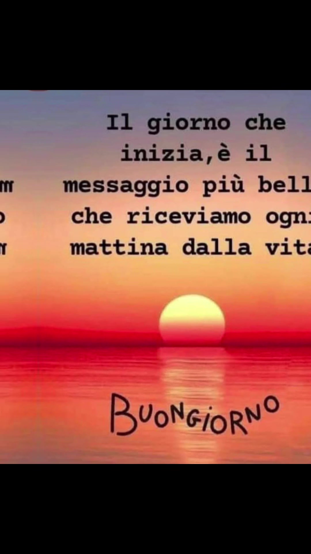 @selvaggia