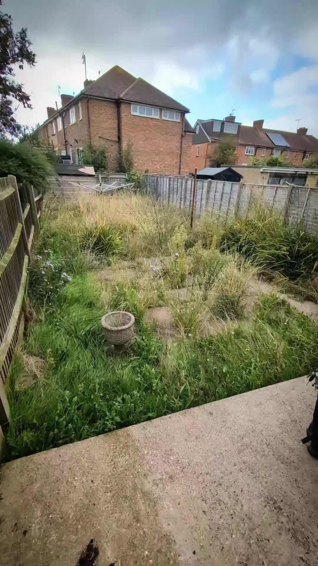 @Gary Hall Garden Services