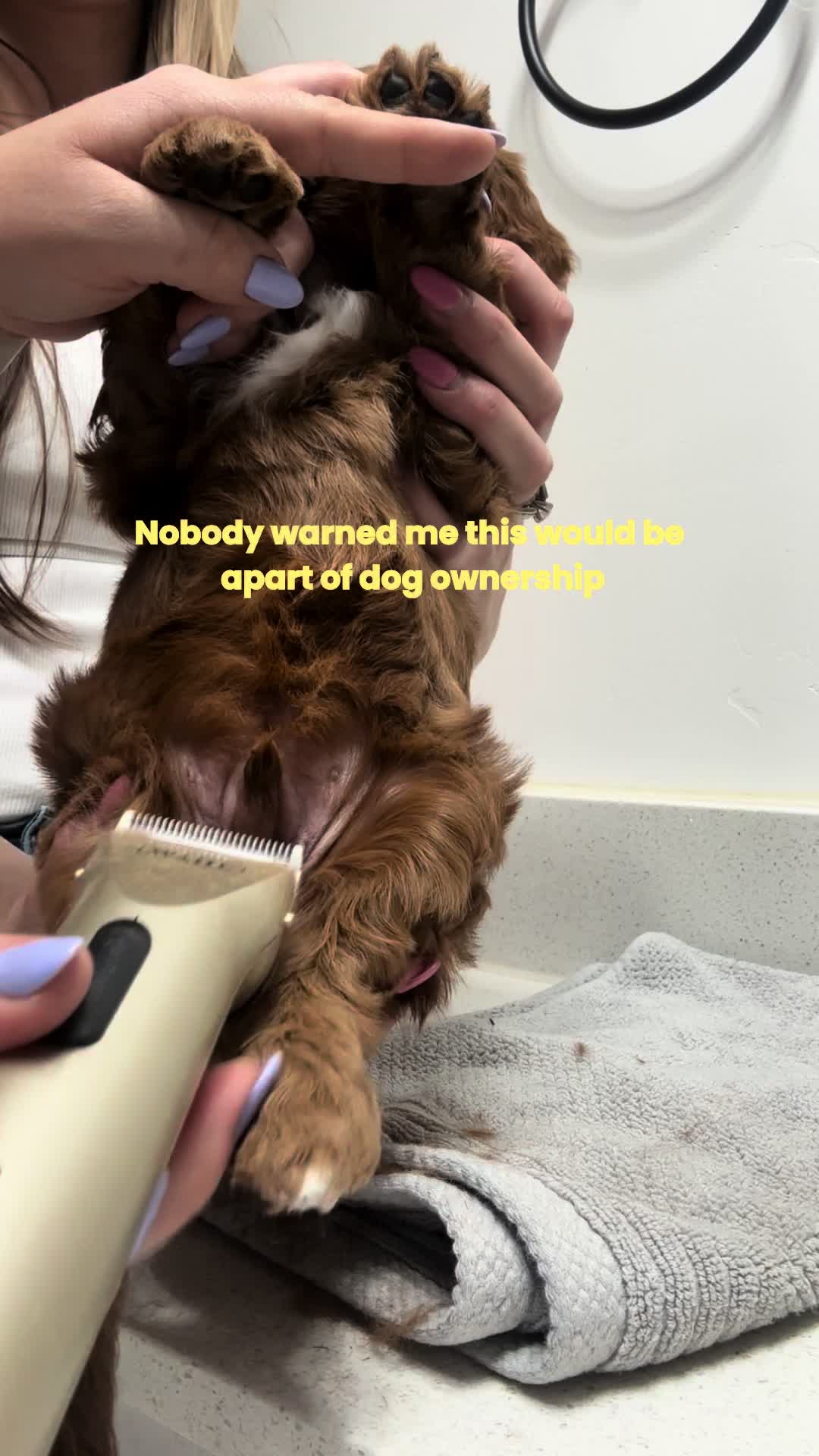@Pupwell