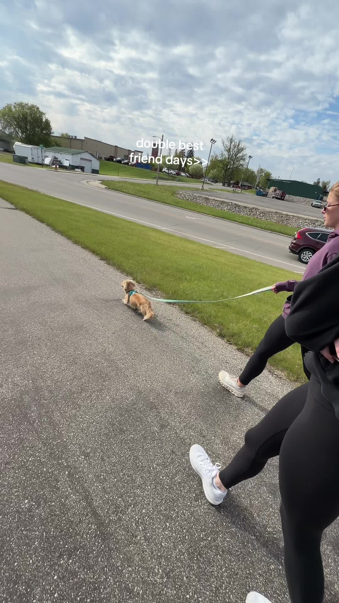 @sophia korynta 2.0