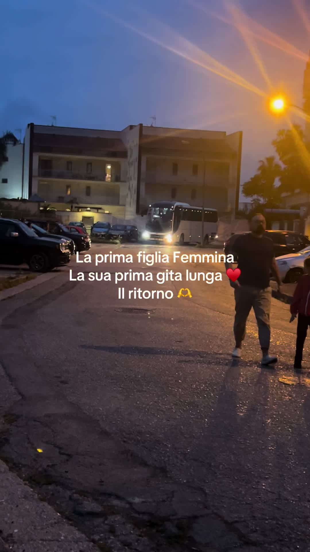 @AmaliaCatapano