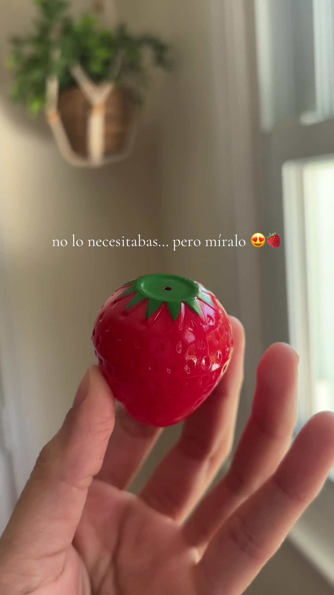 @Gaspar504