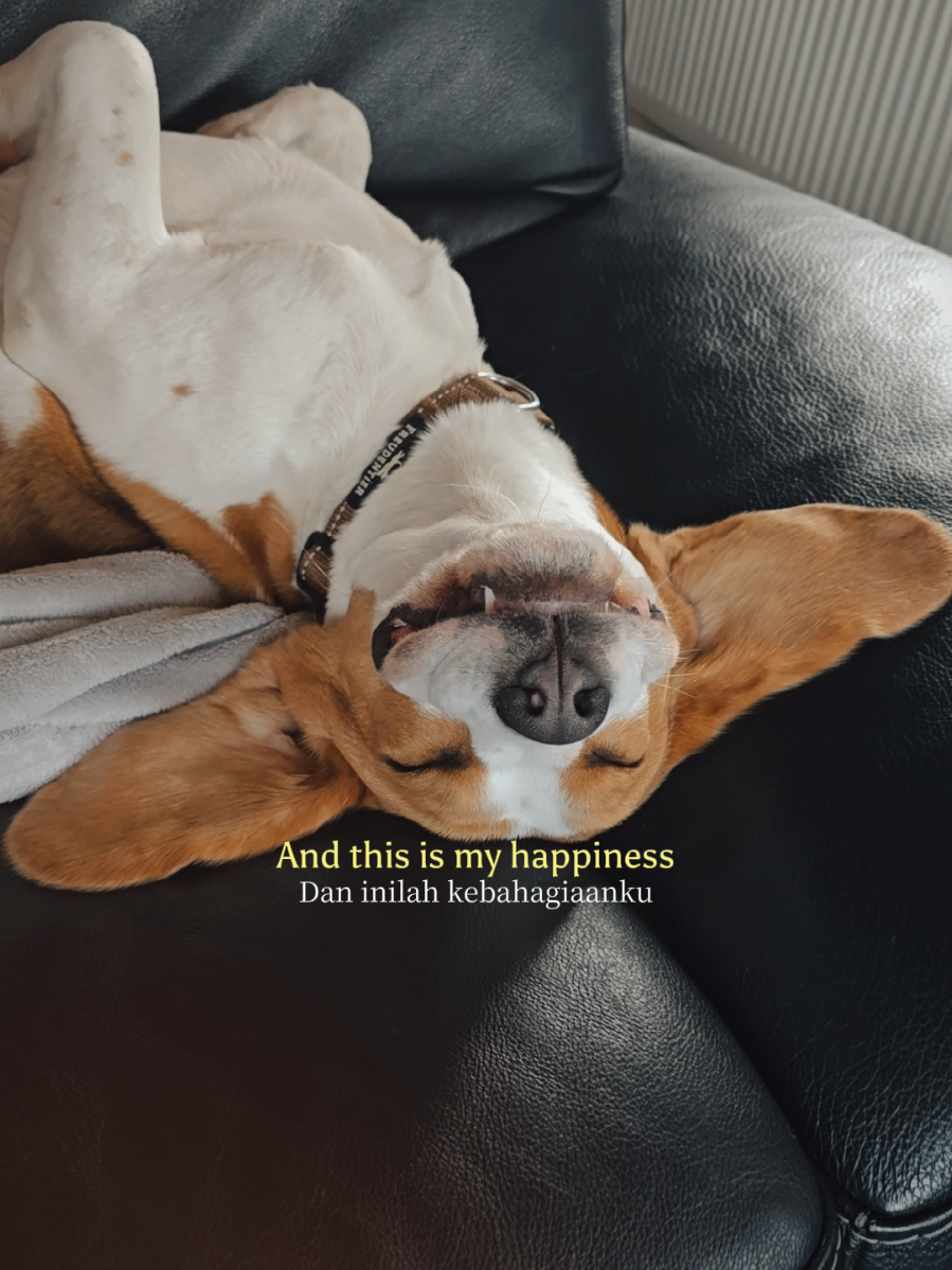 @Tessa & Cody 🐶