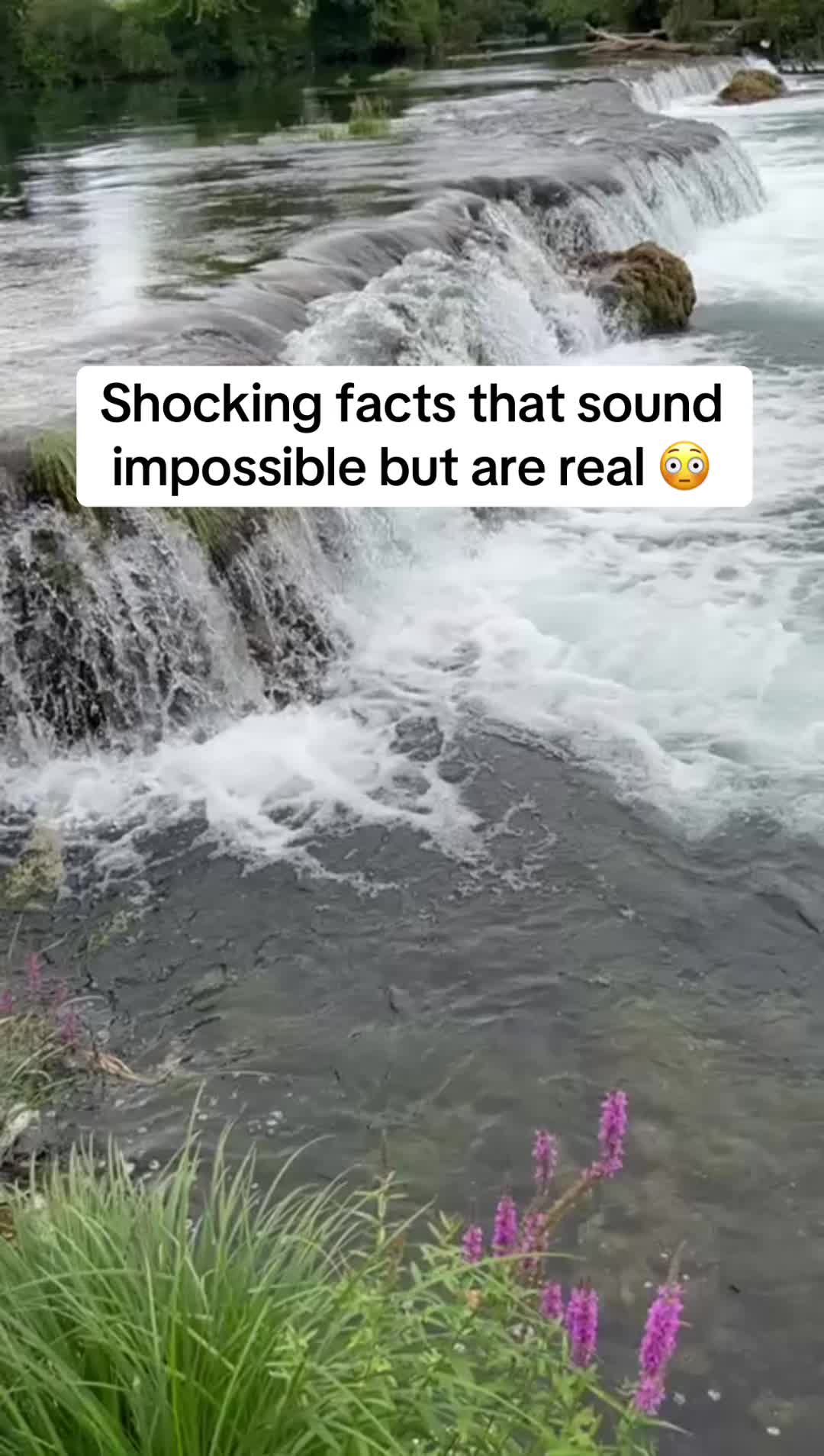@Efacts