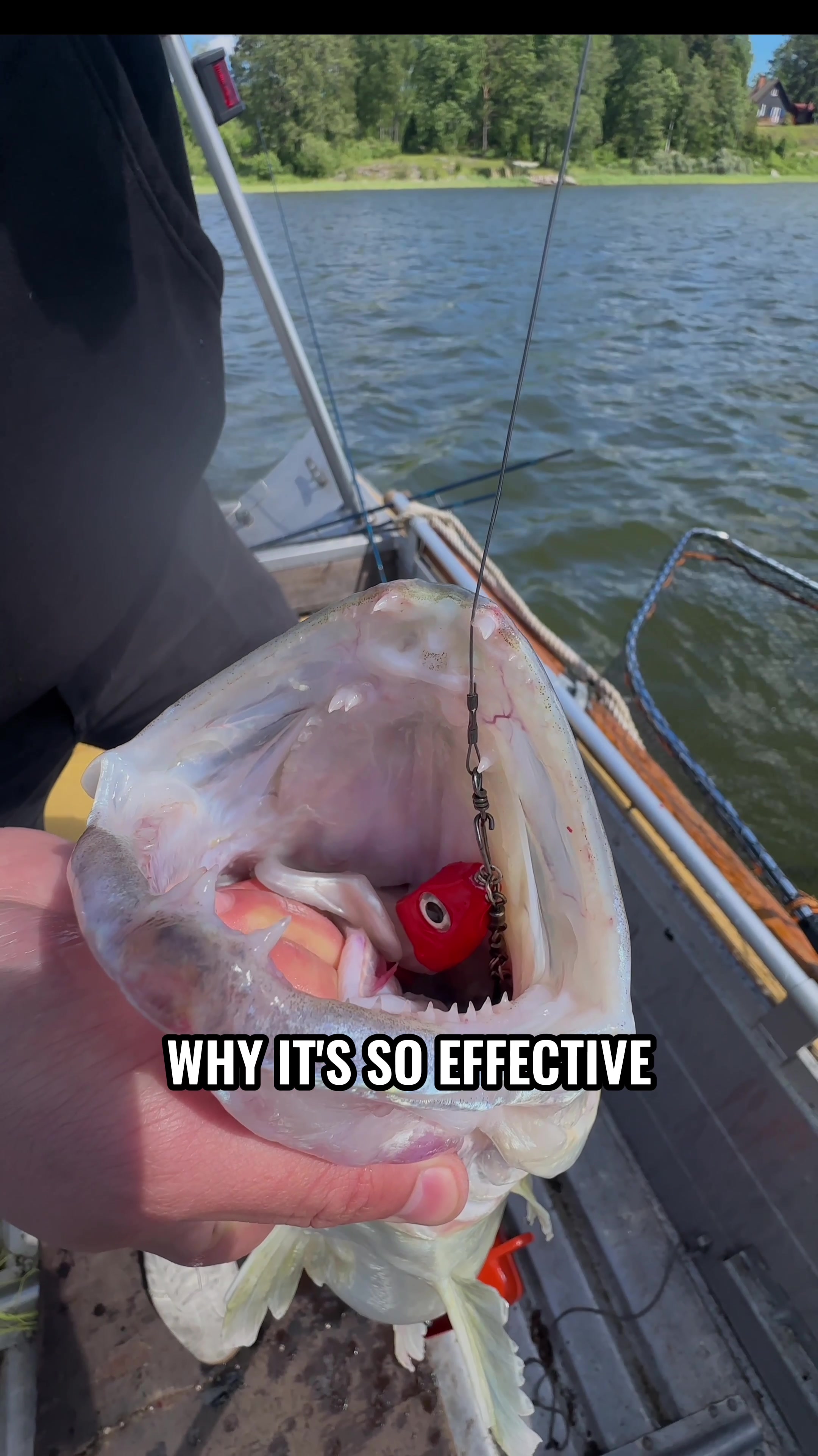 @AG Fishing