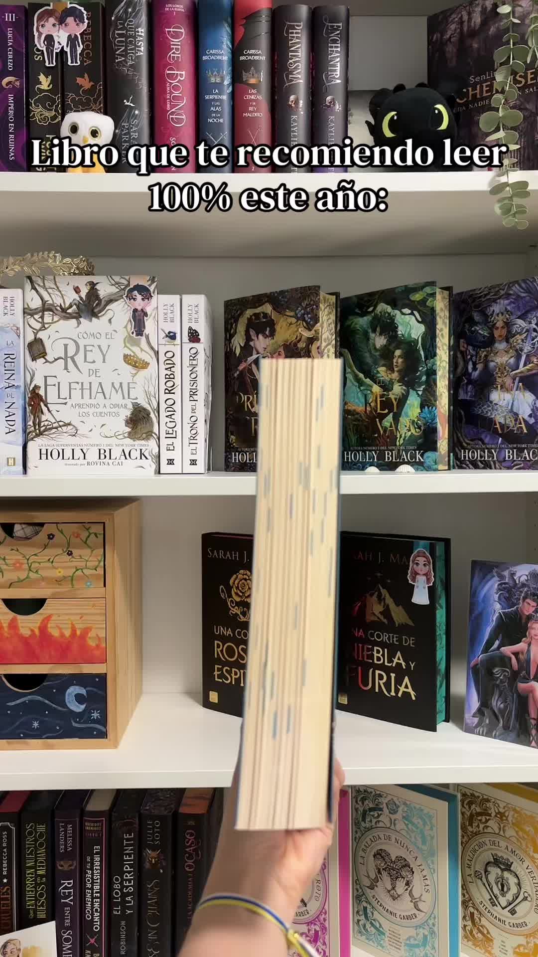 @Thedarkmoonbooks🌙✨