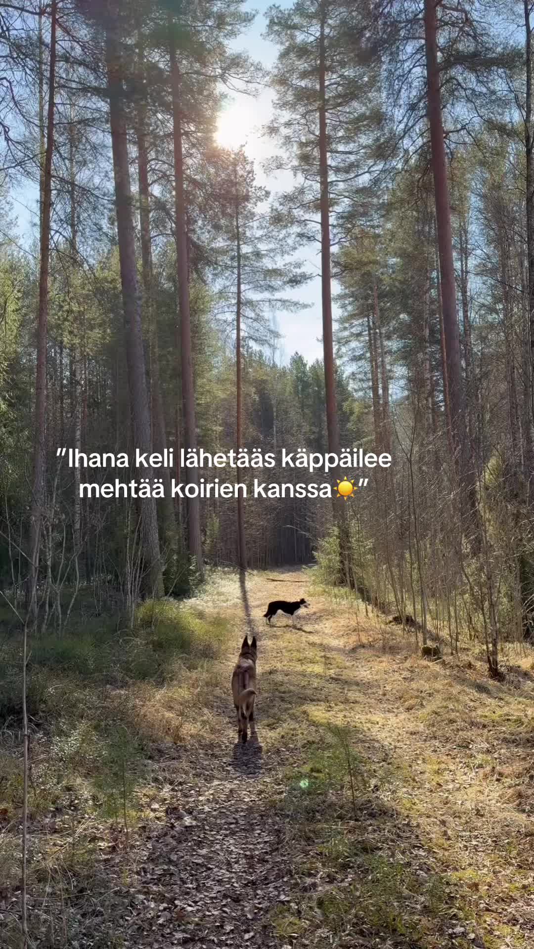 @Oona Tissari🖤