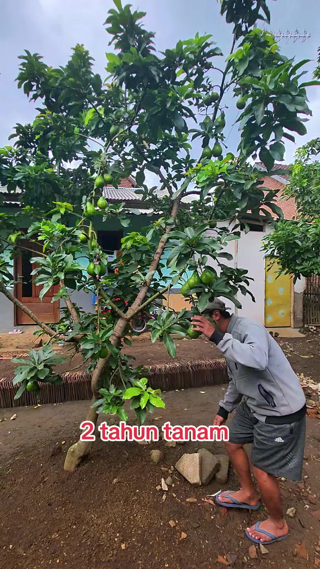 @Toko berkah jaya
