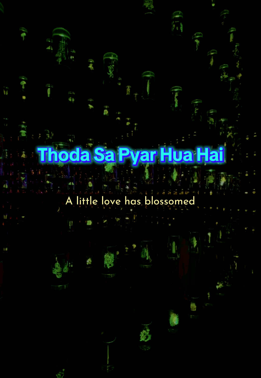 @hindi.lyrics0
