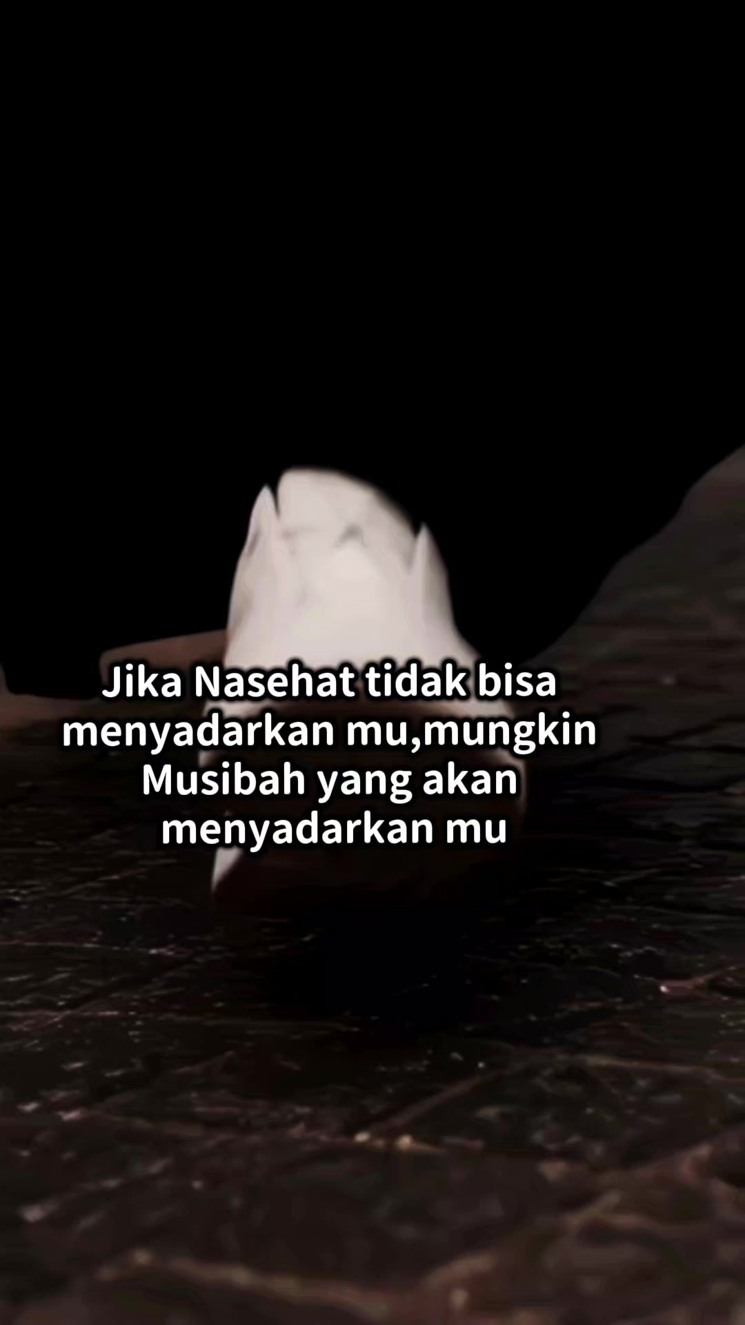 @yosin