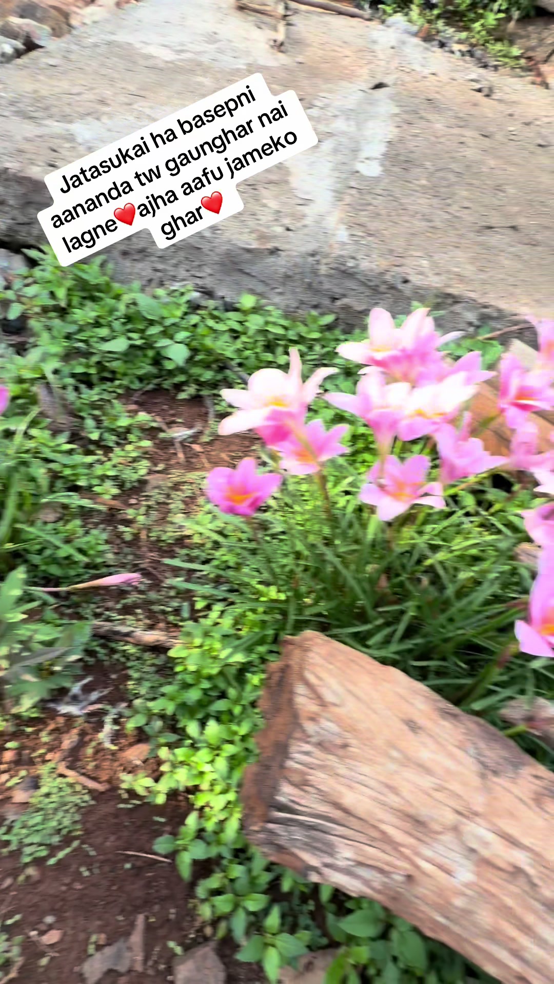 @LumeEGURUNG