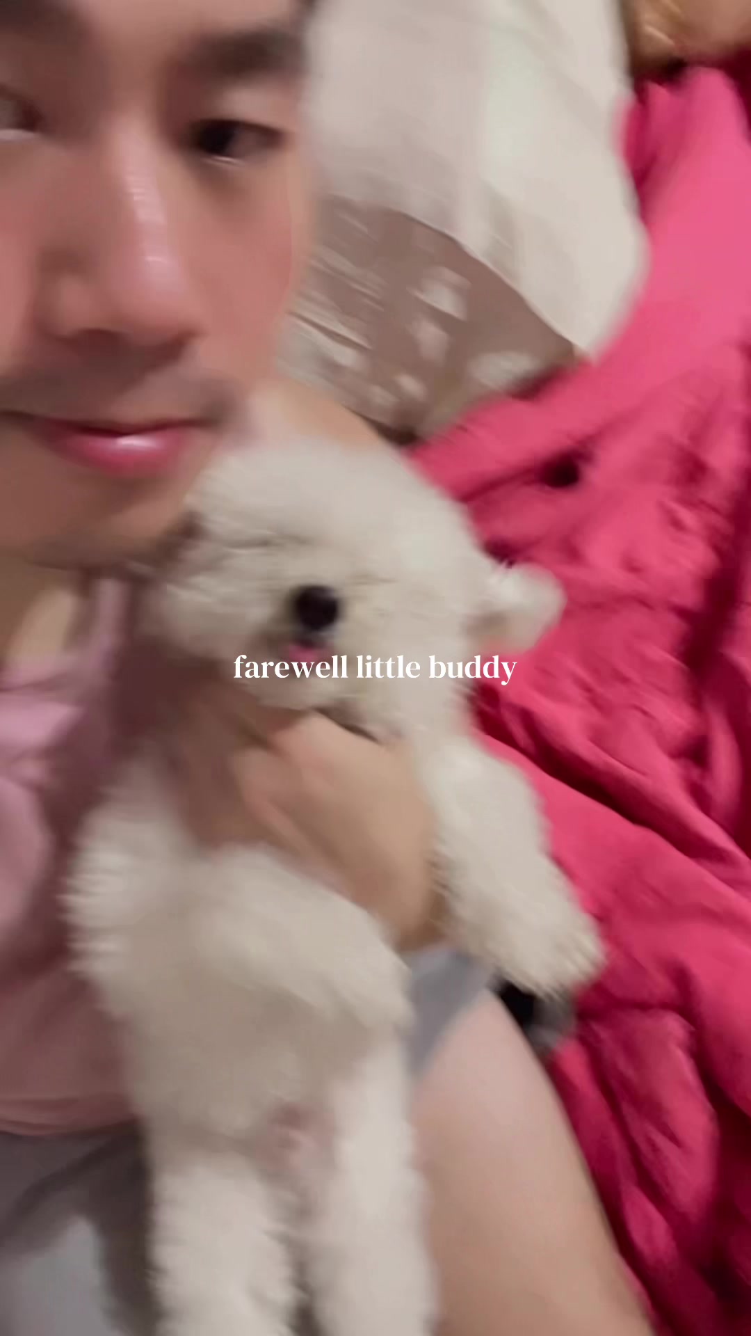 @Will Zhang