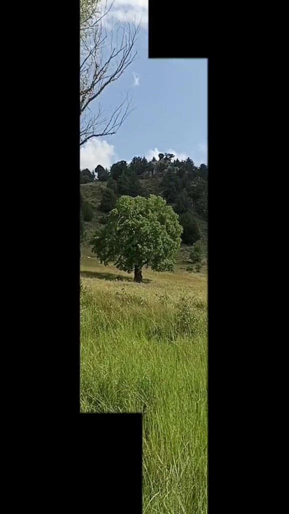 @Ömer Soylu