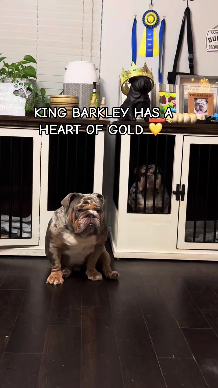 @barkleythabulldog