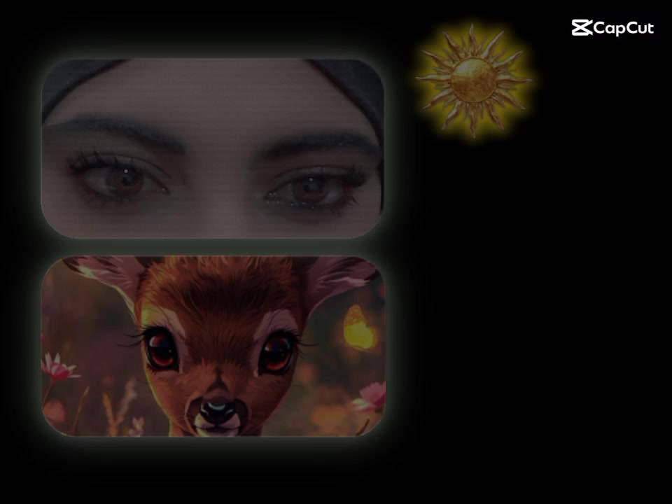 @✿⊱⊰✿ تمر حنا ✿⊱⊰✿