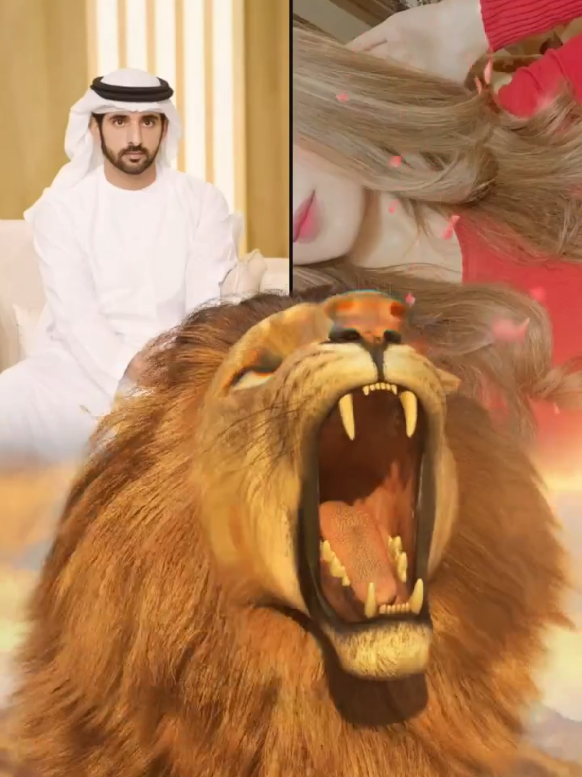 @Fazza🇦🇪✪حمدان👑✔️