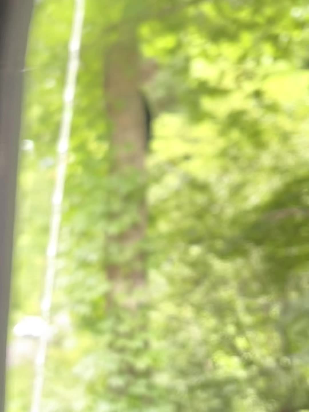@โ
๐ถ๐๐ ๐ฟ๐๐๐๐๐ โ