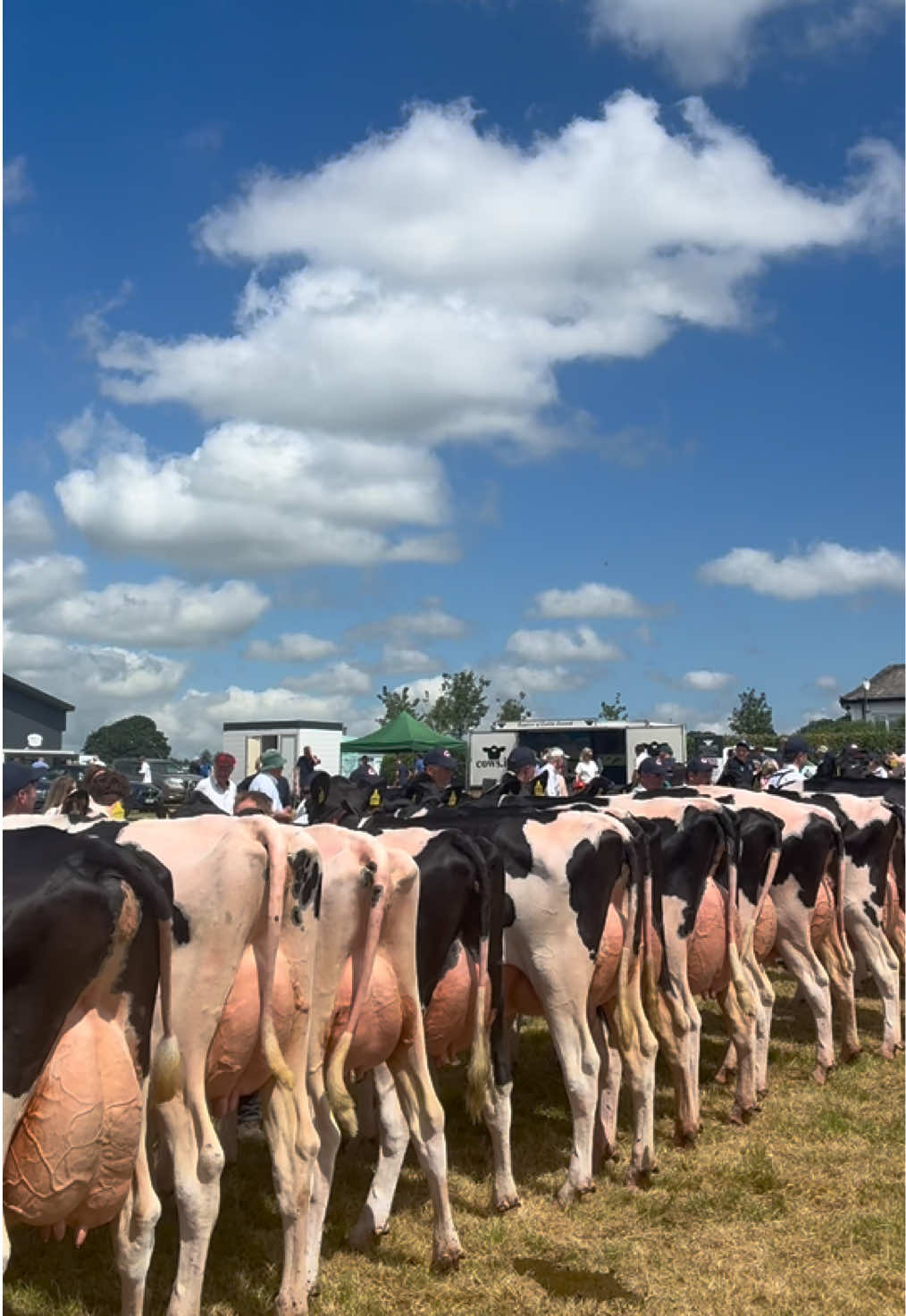 @Lely Center Mullingar
