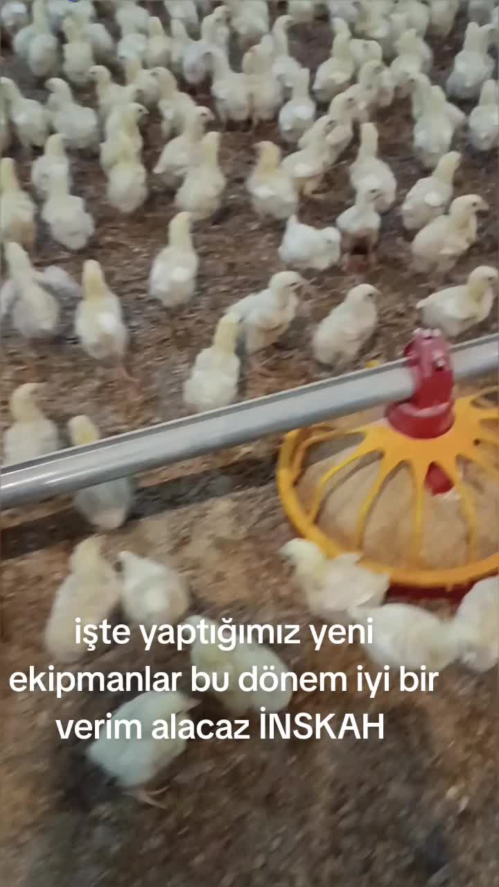 @AYKIZİN MASALI 🌹🌹