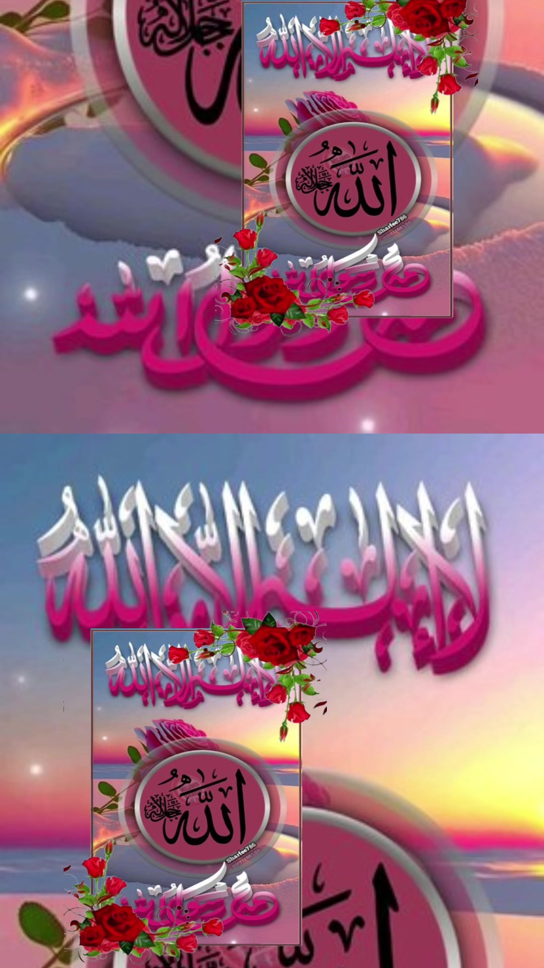 @shuhel257