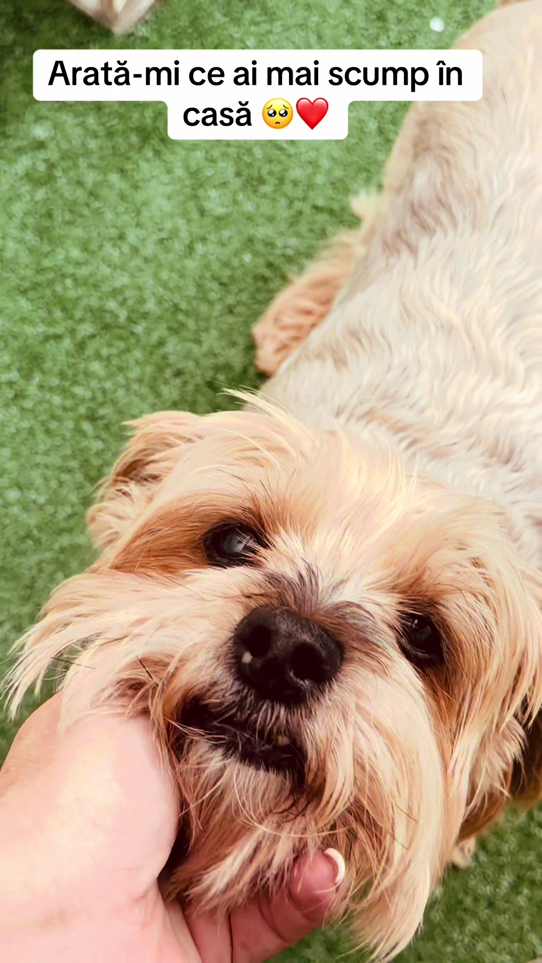 @MARYPOSA lui AANDREW