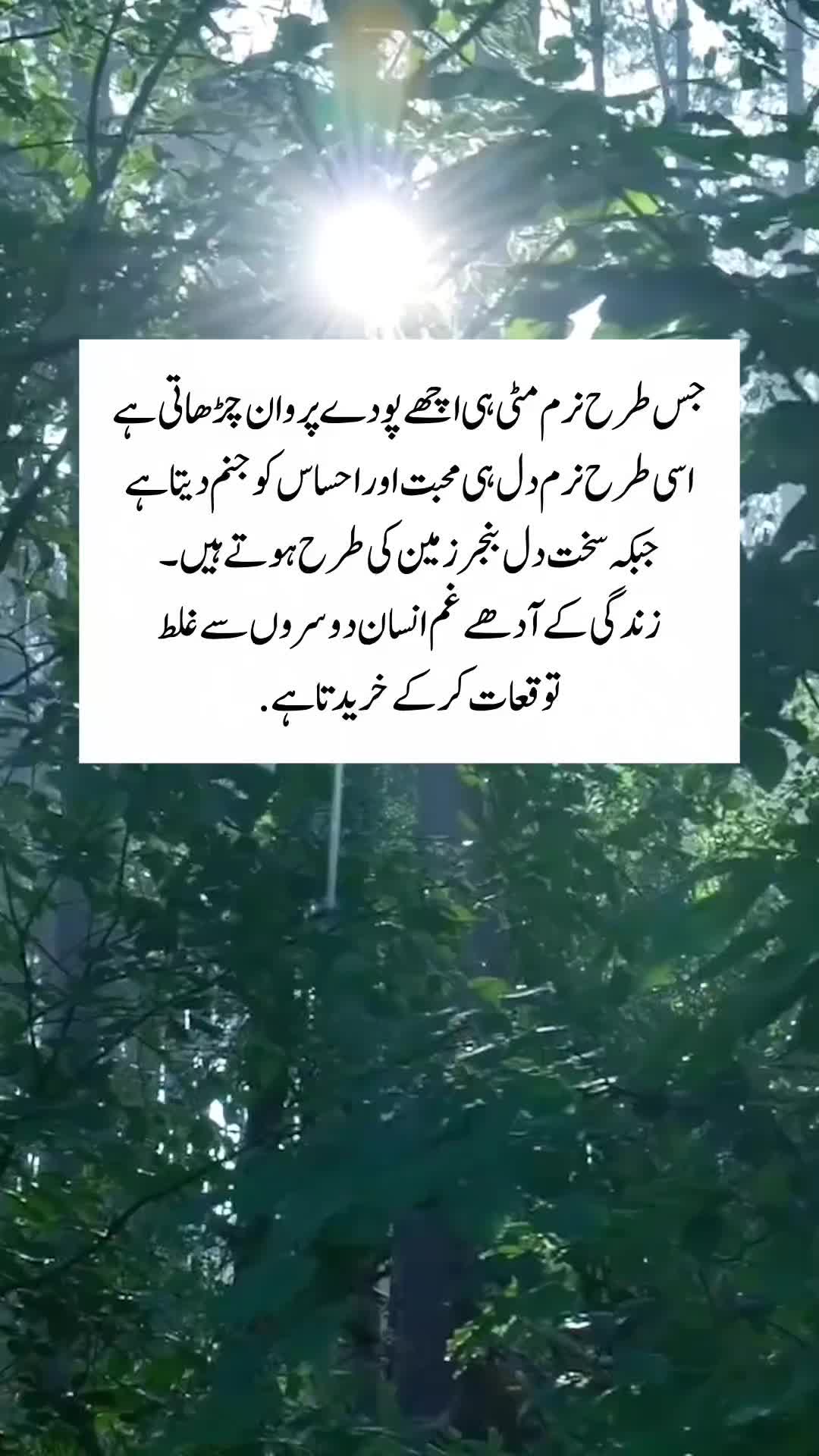 @Kainat Quotes