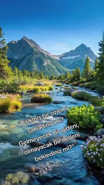 @BİR SERÇENİN GÖZYAŞ🕊️🕊️🕊️