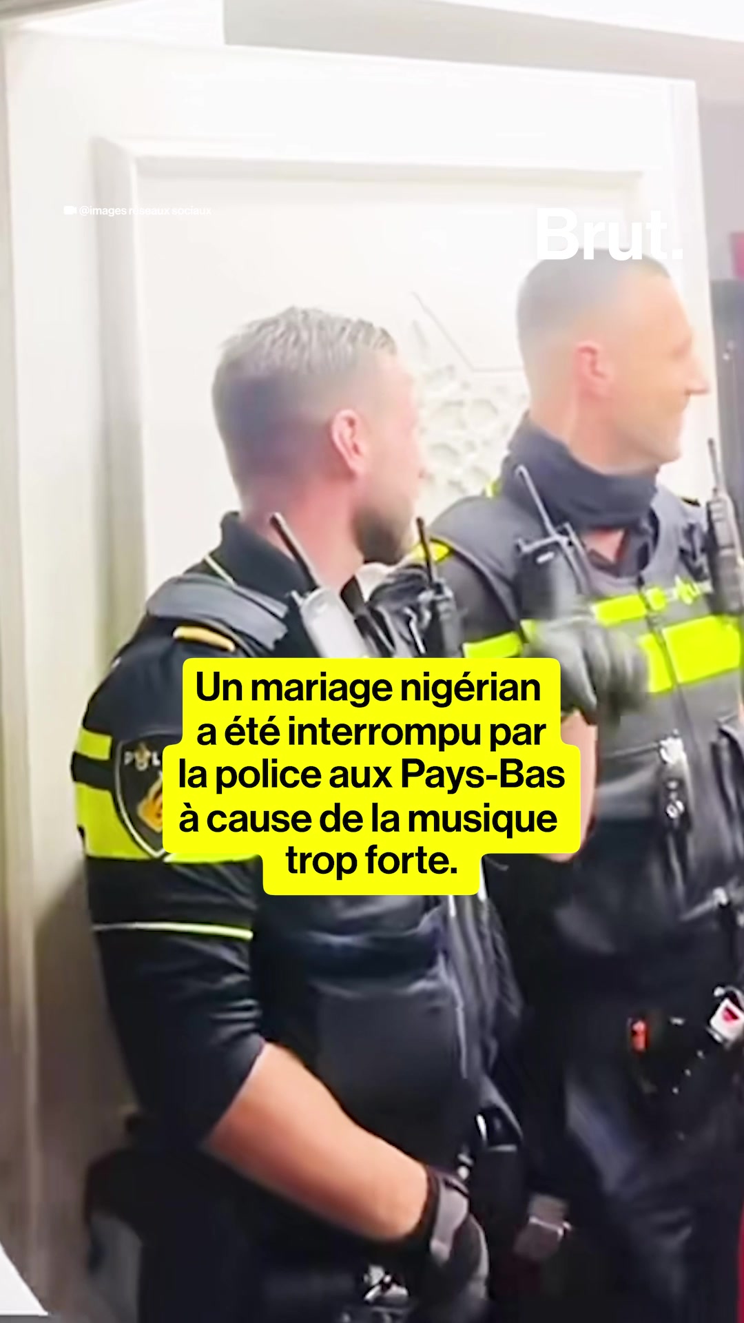 @Brut. Afrique