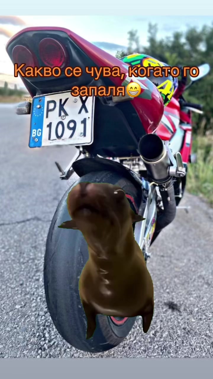 @𝓓𝓲𝓶𝓲𝓽𝓪𝓻 𝓐𝓷𝓰𝓮𝓵𝓸𝔀