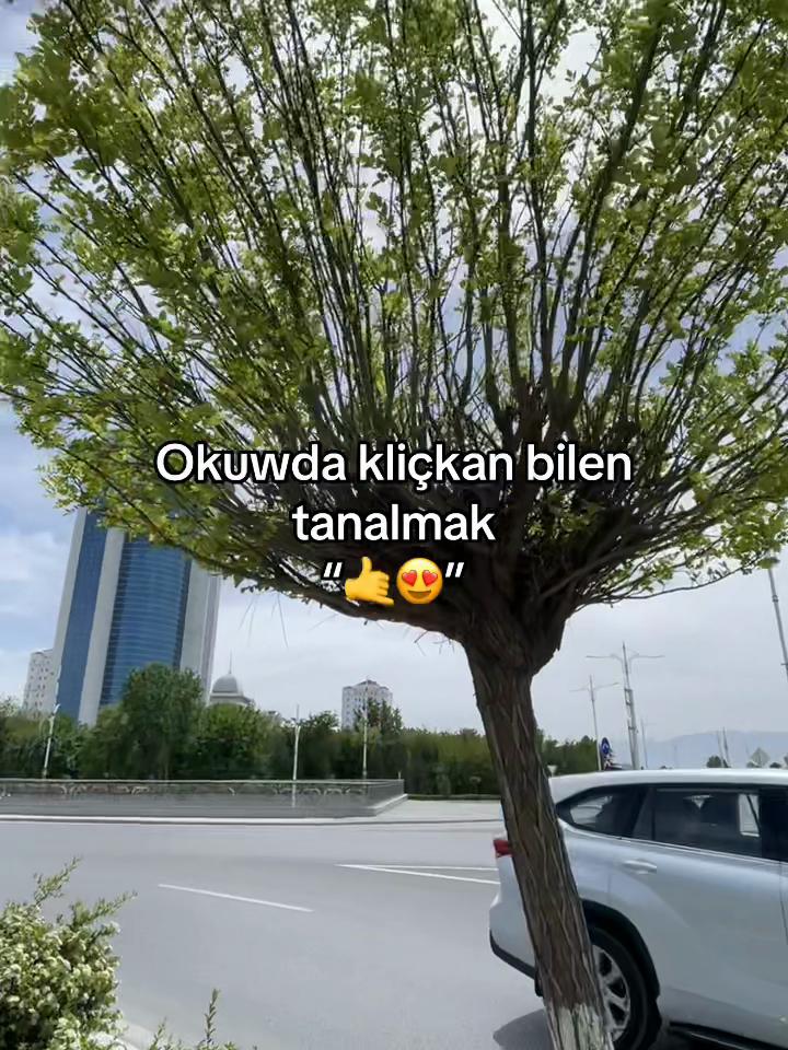 @B_ns.71