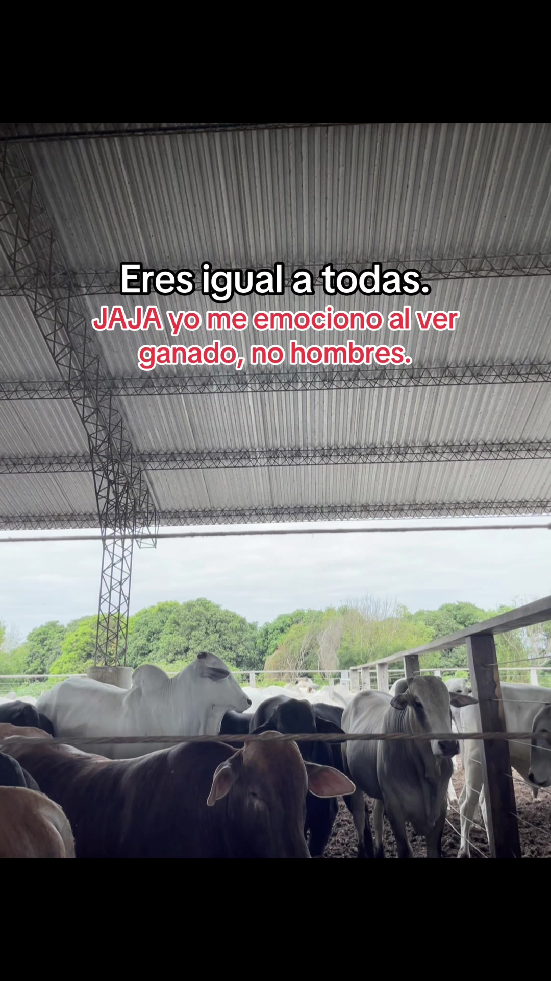 @Mayte Llanos